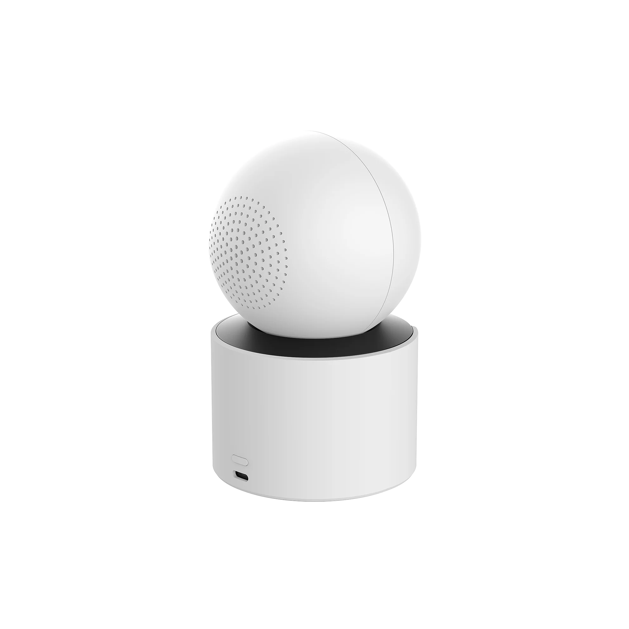 Xiaomi Smart Camera C500 Dual EU